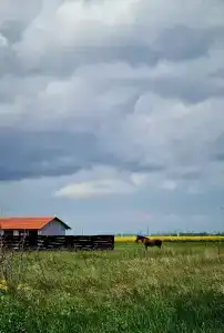 7 Ветров - 37