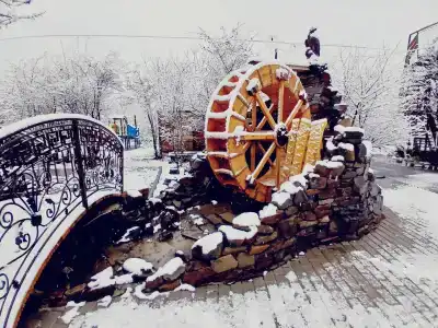 Лидия - 9