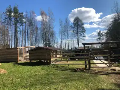 Лунная долина - 62