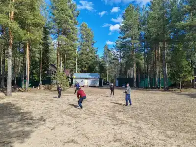 Шишкин лес - 47