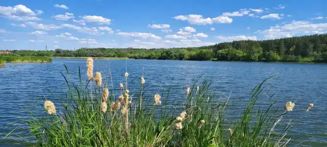 Сосенки Lounge - 36