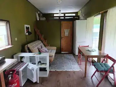 Смородина - 94