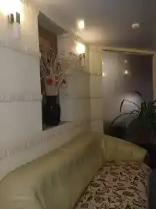 Стрекоза - 91