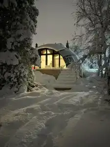 Хаски Кэмп - 2