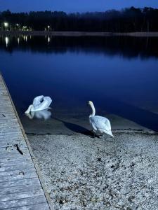 Шале Гринвуд - 20