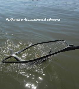 Фишка - 9