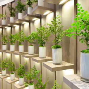 Condes de Barcelona - 18