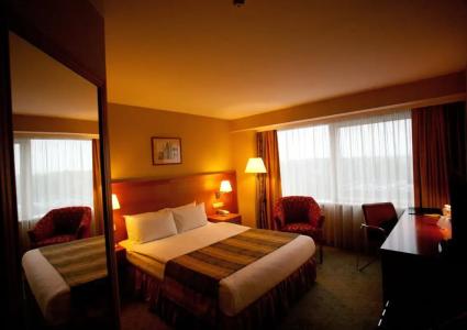 Crowne Plaza Vilnius, An Ihg - 97