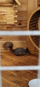 Гранд Усадьба - 92