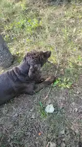 Зеленая Тропа Деревня - 25