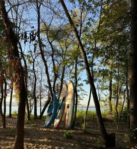 Юрта-парк на острове - 55