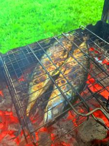 Дом Zarechye с русской баней и горячей купелью - 34