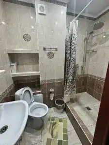 Спутник - 19
