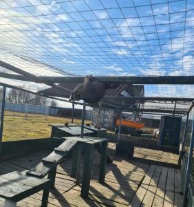 Александровский спас - 40