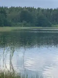 Круиз Вилладж - 85