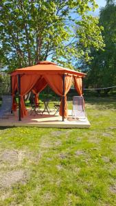 Королевская звезда - 5