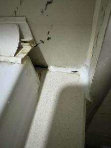 Monarch Istanbul - 44