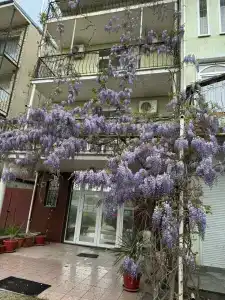Бриз - 2
