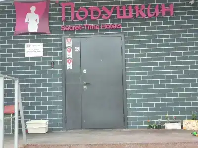 Подушкин - 18