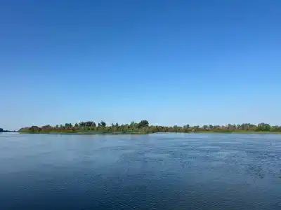 Трофей - 44