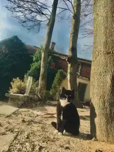 Золотые пески - 94