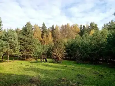 Круиз Вилладж - 48