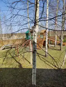 Эко дача Берёза - 59