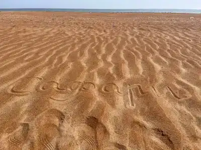 Сафари - 13