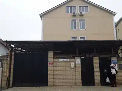 Кипарис - 16