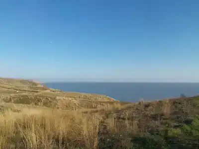 Лазурный - 43