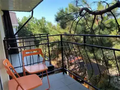 Песчаный берег - 84