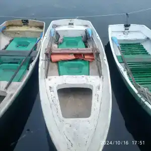 Вектор - 6