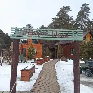 Magic Wood - 13