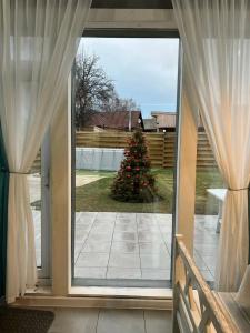 Черный дом - 45