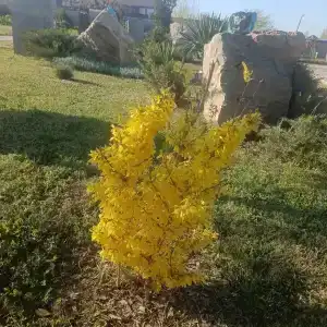 Электра Холидей - 38