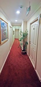 Nagehan Old City - 30