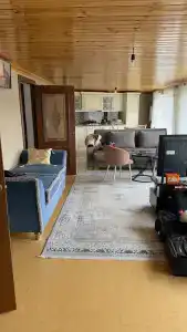 Пение птиц - 65