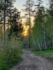 Юбилейный - 24