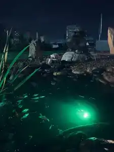 Загородное - 78