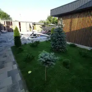Санрайс - 22
