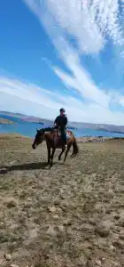 АлБа - 11