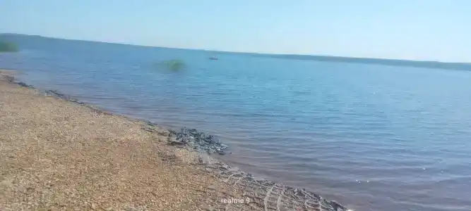 Лотос - 15