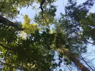 Юрта-парк на острове - 88