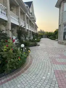 Альбатрос - 89