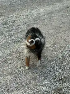 Белый Кролик - 51