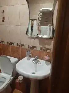 Шатура Холл - 53