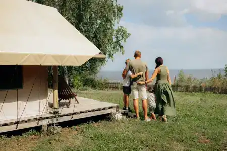 Чайка - 31