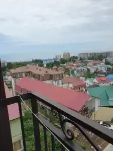 Азалия - 18