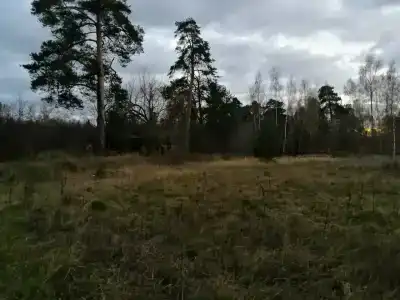 База отдыха Бронницы НИУ МГСУ - 11
