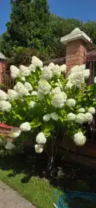 Заречный - 56